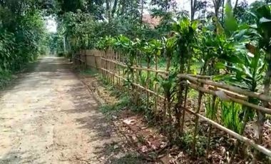 Jual tanah kebun pinggir jalan desa Cileunca Bojong Purwakarta Jawa Barat