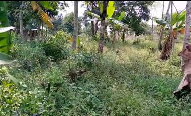 Jual tanah kebun pinggir jalan desa Cileunca Bojong Purwakarta Jawa Barat