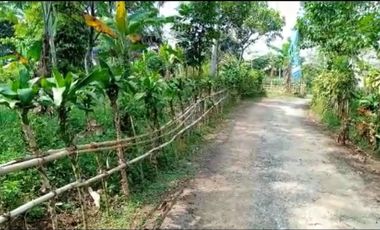 Jual tanah kebun pinggir jalan desa Cileunca Bojong Purwakarta Jawa Barat