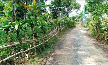 Jual tanah kebun pinggir jalan desa Cileunca Bojong Purwakarta Jawa Barat