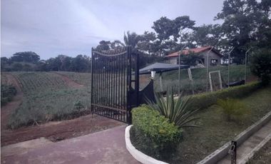 VENDO TERRENO EN LA CHORRERA LOS COROSALES 1 HECTREA CON SEMBRADO