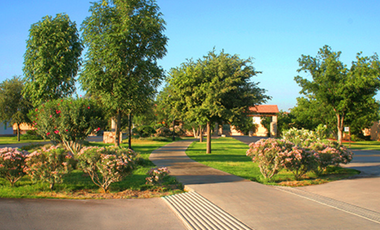 Venta de Terrenos en Torreón Coahuila