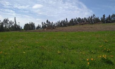 Altos De Itraque, Parcelas De Agrado