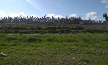 Altos De Itraque, Parcelas De Agrado