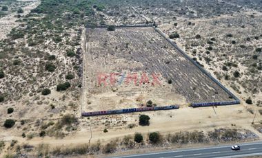 🏗️ ¡Oportunidad De Inversión!   📍 3 Hectáreas De Terreno – Filo De Pista  Piura- Sullana