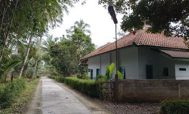 Tanah Kavling Murah dekat Alun-Alun Purworejo Kota