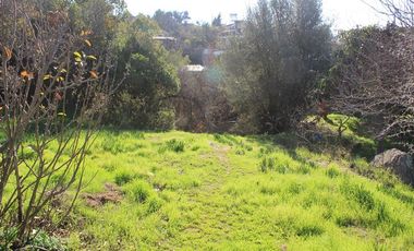 Sitio con 2 casas antiguas venta en Quilpué, sector Retiro.