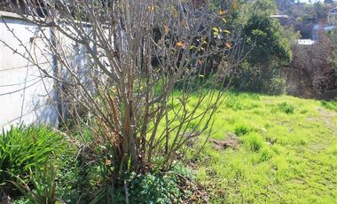Sitio con 2 casas antiguas venta en Quilpué, sector Retiro.