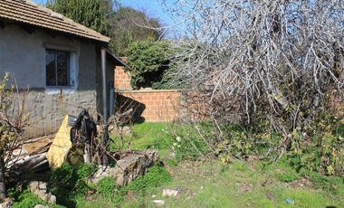 Sitio con 2 casas antiguas venta en Quilpué, sector Retiro.