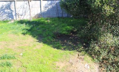 Sitio con 2 casas antiguas venta en Quilpué, sector Retiro.