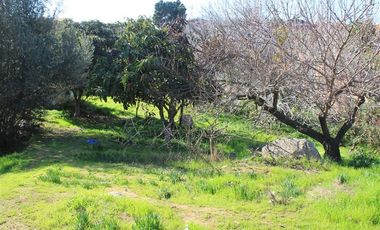 Sitio con 2 casas antiguas venta en Quilpué, sector Retiro.