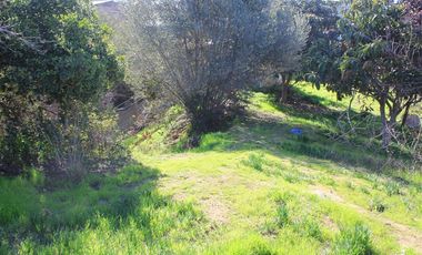 Sitio con 2 casas antiguas venta en Quilpué, sector Retiro.