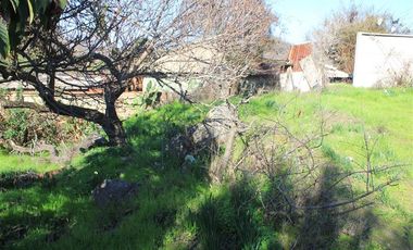 Sitio con 2 casas antiguas venta en Quilpué, sector Retiro.