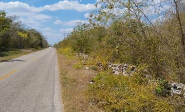 TERRENO DE 4.5 HECTÁREAS SOBRE CARRETERA CERCA DE IZAMAL