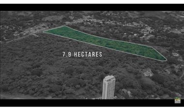 Se Vende Terreno de 7 Hectáreas en San Carlos