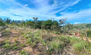 VENDO FINCA DE 108 HECTAREAS BOQUETE