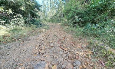 VENDO FINCA DE 108 HECTAREAS BOQUETE
