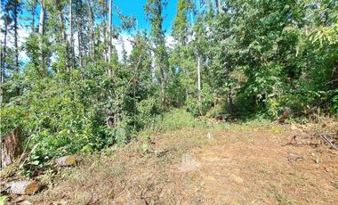VENDO FINCA DE 108 HECTAREAS BOQUETE