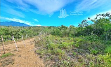 VENDO FINCA DE 108 HECTAREAS BOQUETE