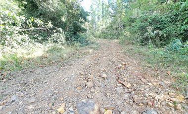 VENDO FINCA DE 108 HECTAREAS BOQUETE