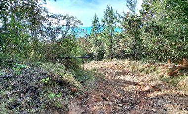 VENDO FINCA DE 108 HECTAREAS BOQUETE