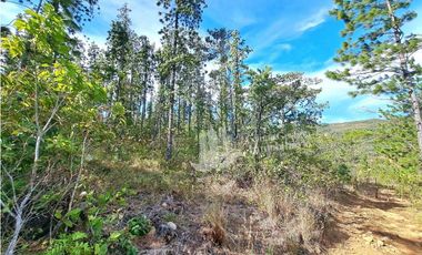 VENDO FINCA DE 108 HECTAREAS BOQUETE