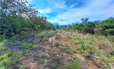 VENDO FINCA DE 108 HECTAREAS BOQUETE