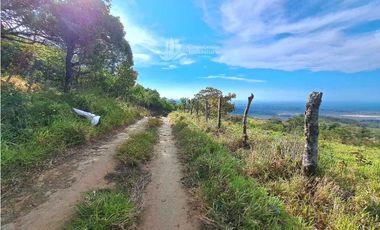 VENDO FINCA DE 108 HECTAREAS BOQUETE