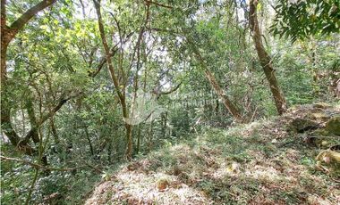 VENDO FINCA DE 108 HECTAREAS BOQUETE