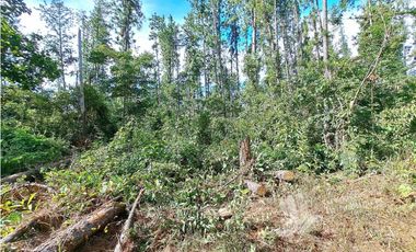 VENDO FINCA DE 108 HECTAREAS BOQUETE