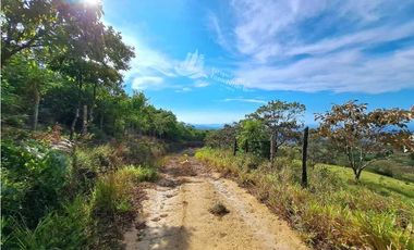 VENDO FINCA DE 108 HECTAREAS BOQUETE