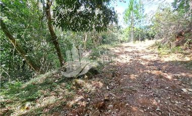 VENDO FINCA DE 108 HECTAREAS BOQUETE