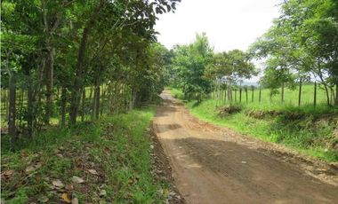 Terreno en La Arenosa