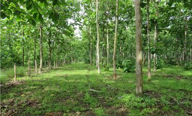 Terreno en La Arenosa