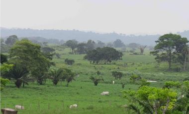 Terreno en La Arenosa