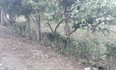 Venta Terreno en Lago de Capeira 921 Mts.2 frente a lago - Vía Daule - Guayaquil - T021
