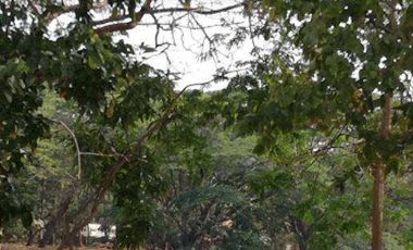 Venta Terreno en Lago de Capeira 921 Mts.2 frente a lago - Vía Daule - Guayaquil - T021