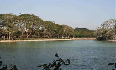 Venta Terreno en Lago de Capeira 921 Mts.2 frente a lago - Vía Daule - Guayaquil - T021