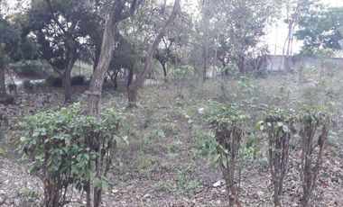 Venta Terreno en Lago de Capeira 921 Mts.2 frente a lago - Vía Daule - Guayaquil - T021