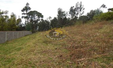 Terreno de venta en El Coco del Valle – código:11257