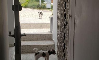 casa en arriendo en villa campestre. Cod A113309