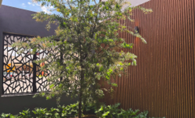 Casa de 4 recamaras en San Angel V hab en planta baja y con Rooftop