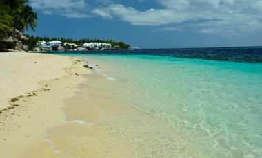 TRIPLE HOUSE LEFT FOR RENT/SALE SEASHORE TINGKO WHITE BEACH, Cebu Philippines