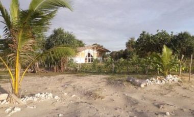 Beautiful Beachfront Land in Pantai Wera, Sumba