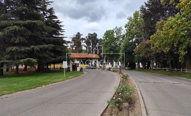 Casa en arriendo de 2 dorm. en Mostazal