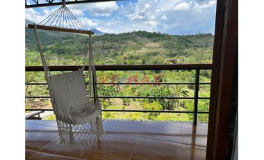 Paraíso Eco-Productivo En Tarapoto: Finca  De 03 Hectáreas De Frutales Y Acceso A Quebrada