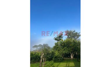 Paraíso Eco-Productivo En Tarapoto: Finca  De 03 Hectáreas De Frutales Y Acceso A Quebrada