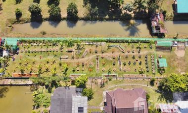 Land for sale in , Chiang Rai