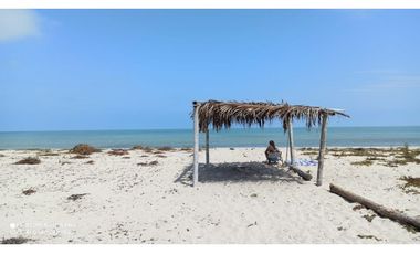 VENDO LOTES DE PLAYA ZORRITOS TUMBES PERU