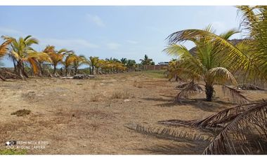 VENDO LOTES DE PLAYA ZORRITOS TUMBES PERU
